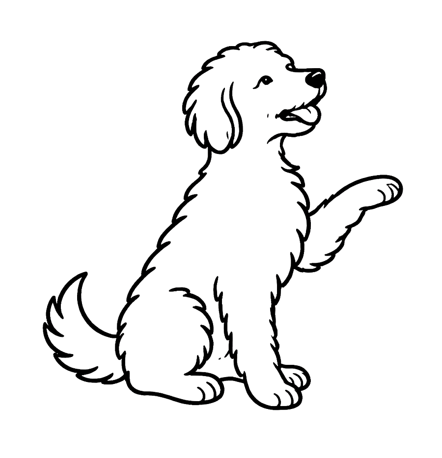 Roxie the goldendoodle